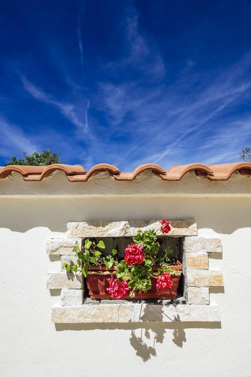 Olive House Zadar Villa Kültér fotó